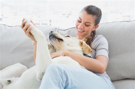 Why members love TrustedHousesitters. . Pet sitting jobs